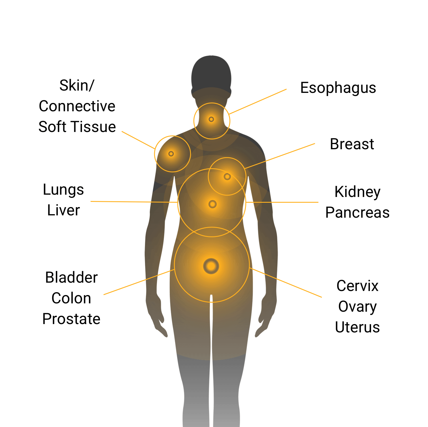 PEcoma sites