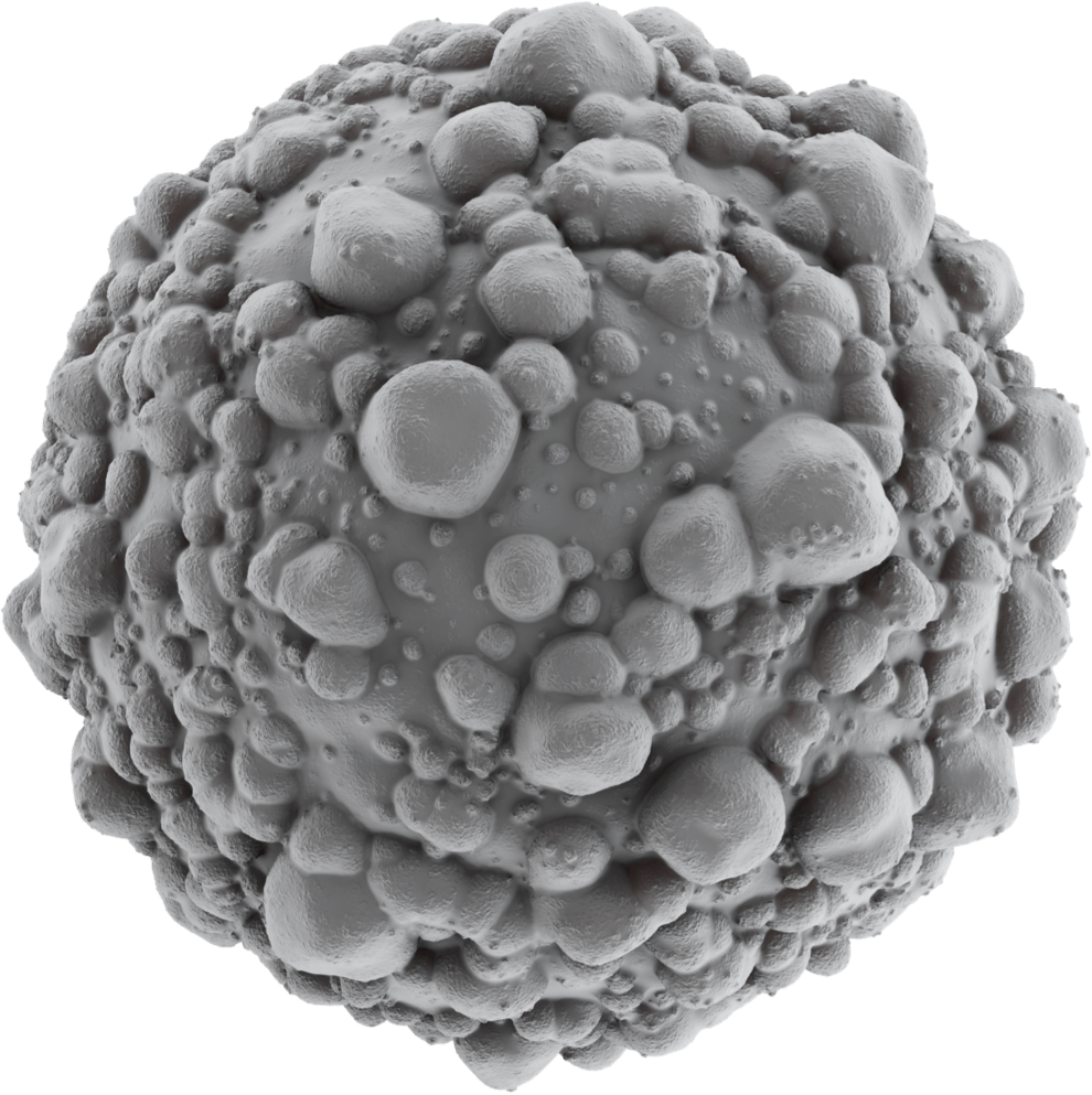 PEcoma cell